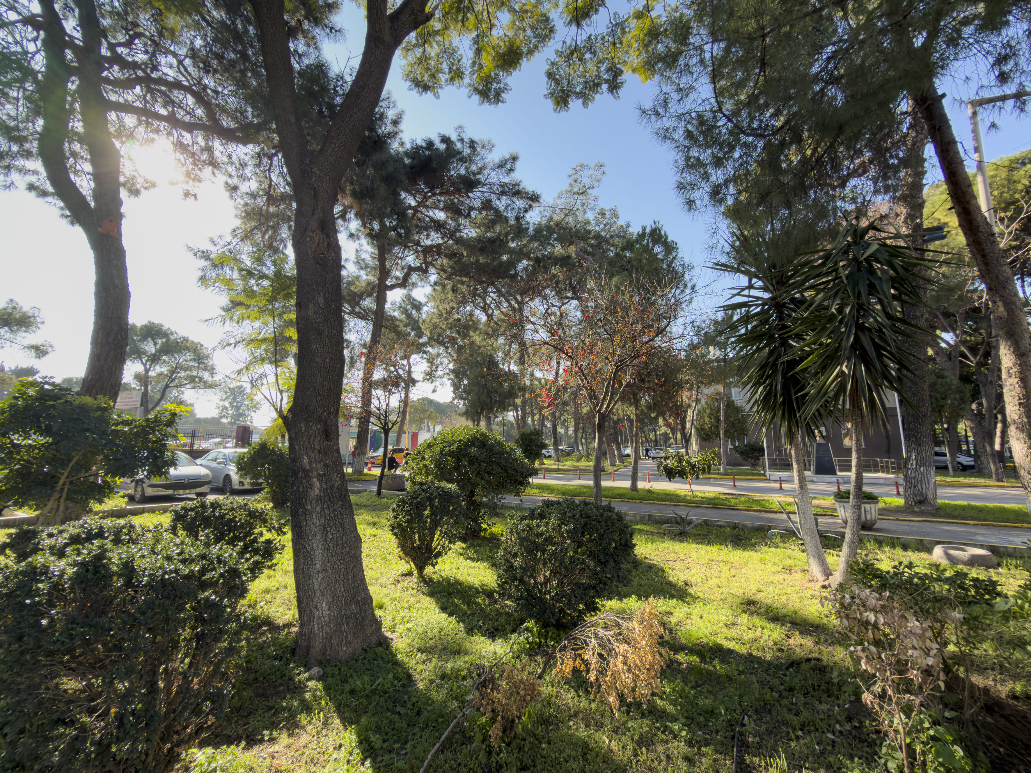 A A 20260203 40444906 40444899 I Z M I R D E B U L A S I C I H A S T A L I K L A R I C I N K U R U L A N H A S T A N E 116 Y I L D I R S A G L I K S U N U Y O R