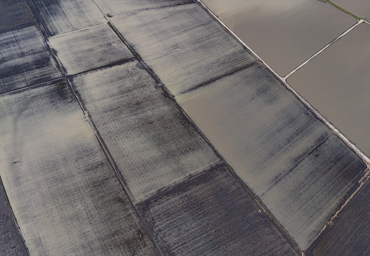 A A 20260220 40619810 40619782 H I D R O J E O L O J I U Z M A N I P R O F D R S I M S E K T E N M E N D E R E S T E K I D U D E N L E R E I L I S K I N A C I K L A M A