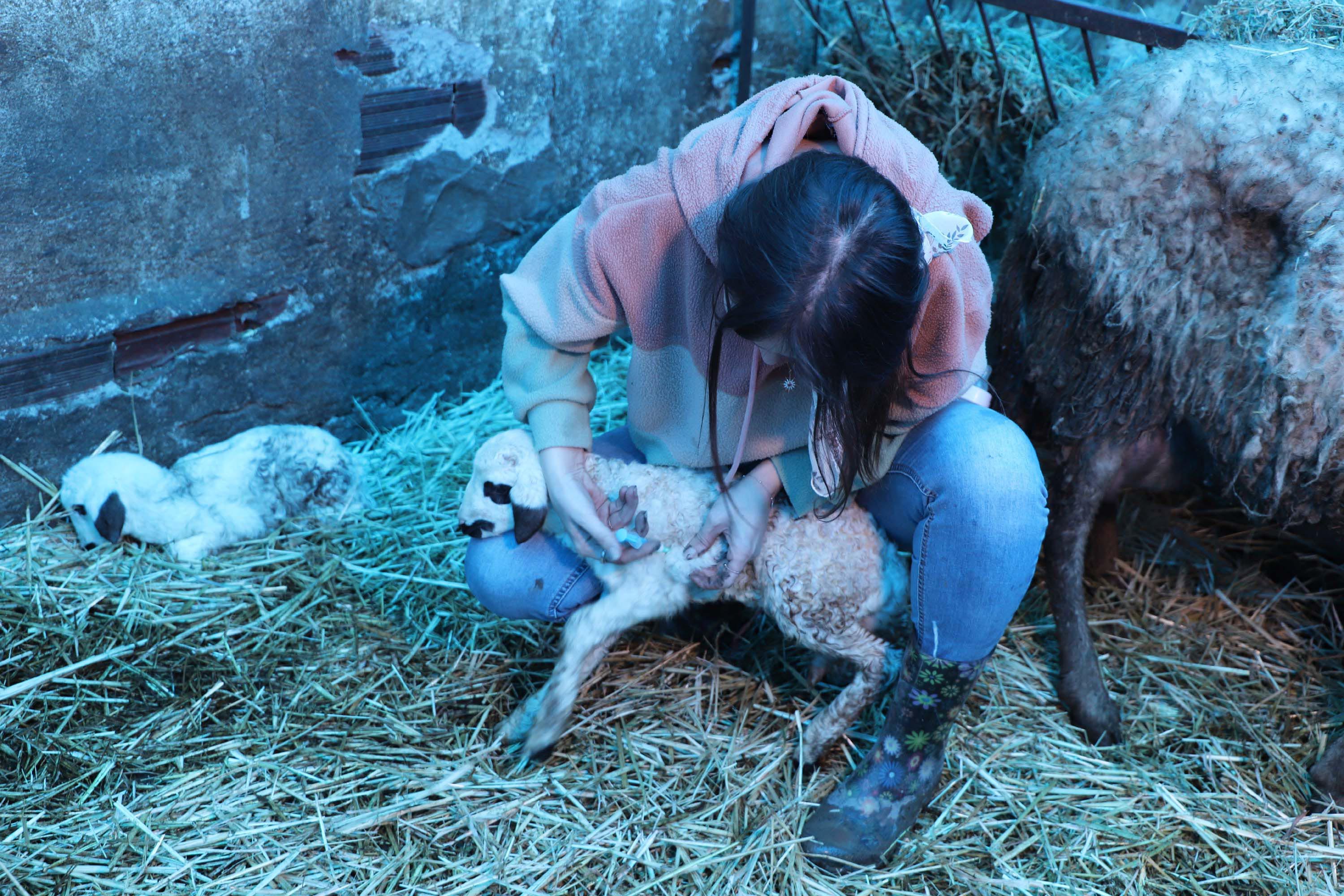 A C I L S E R V I S T E H A S T A L A R A C I F T L I K T E H A Y V A 1181559 350963