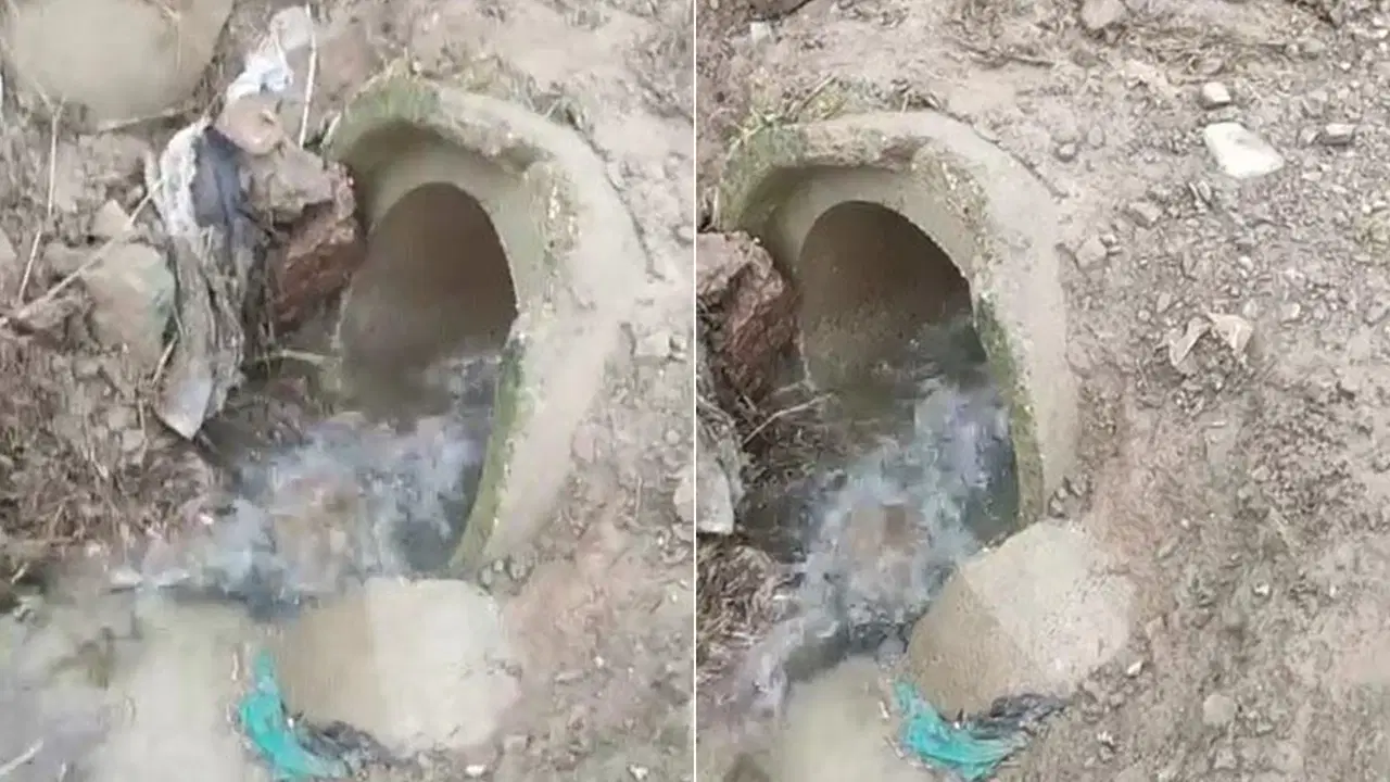 B5Fcd4Ec 7Bb2 4502 82De B78547D0B50F