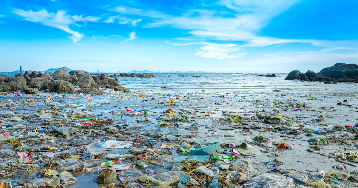 Candostlar İ K L İ M Bizimgezegen-2