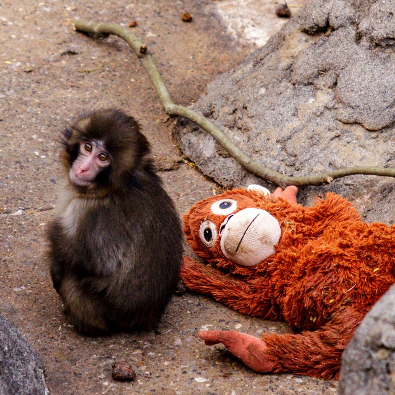 Candostlar S O S Y A L M E D Y A Bizimgezegen2