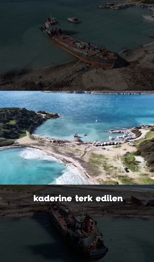 Ekran Görüntüsü 2026 02 01 154217