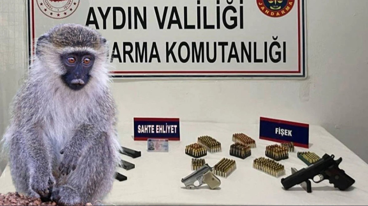 Ekran Görüntüsü 2026 02 04 235327