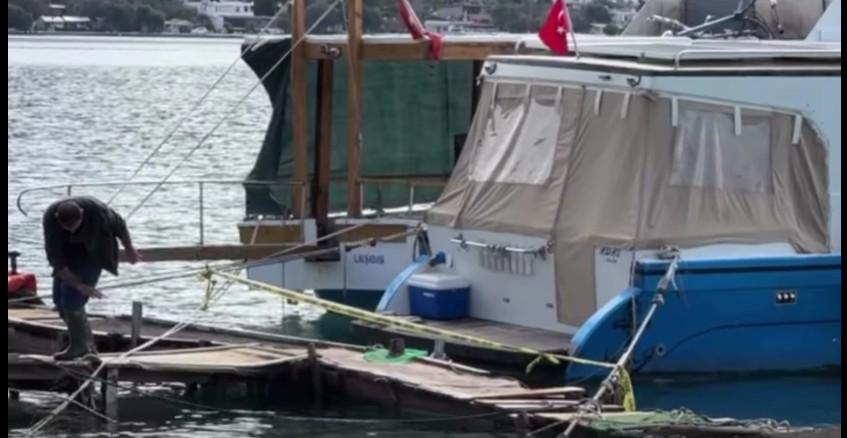 Ekran Görüntüsü 2026 02 13 192210