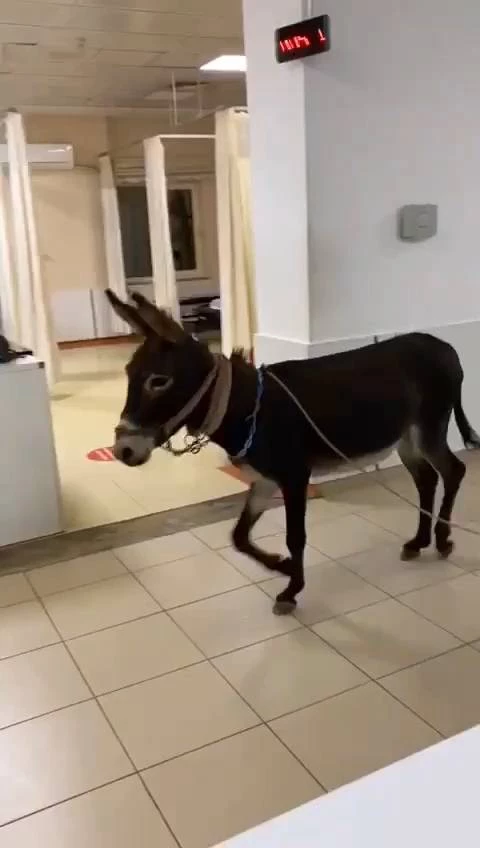 Esek Hastanenin Acil Servisine Girdi O 43762 3