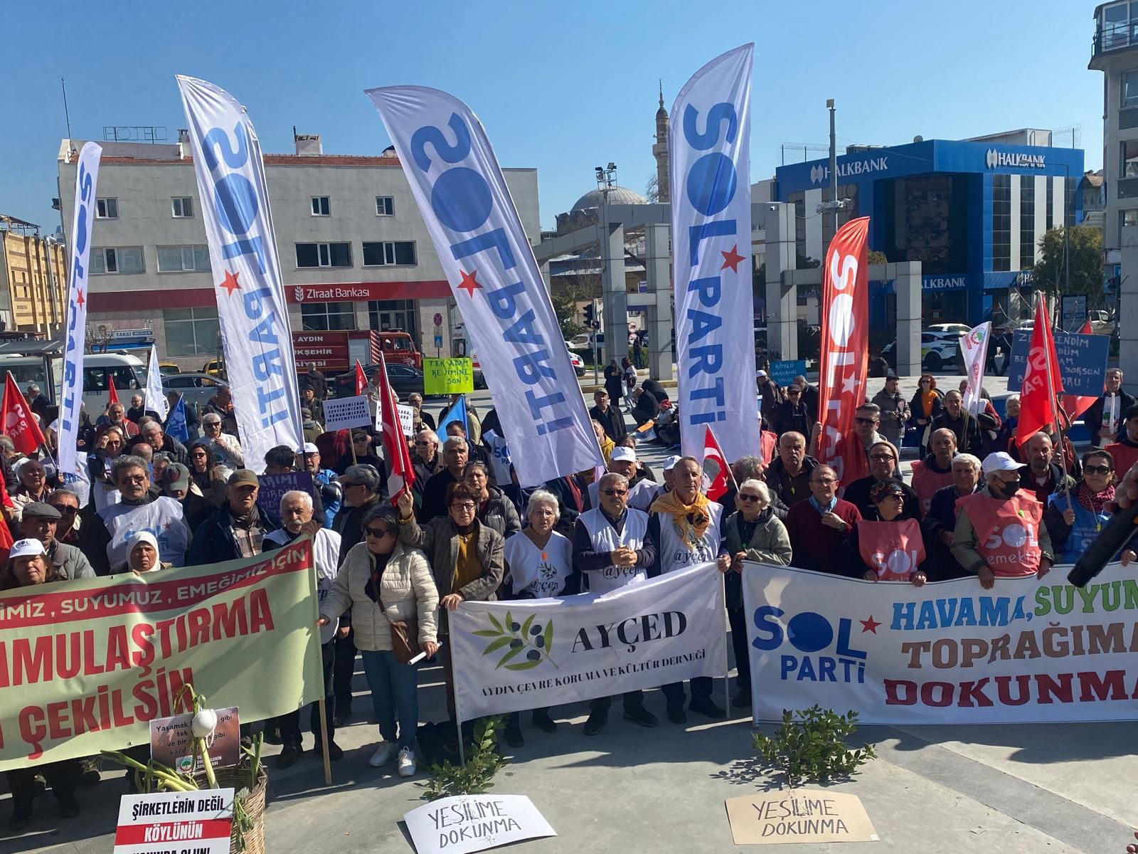 I M G 20260228 W A0025