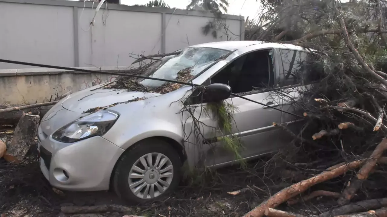Izmirde Kuvvetli Ruzgar Etkili Oldu Agaclar Devrildi