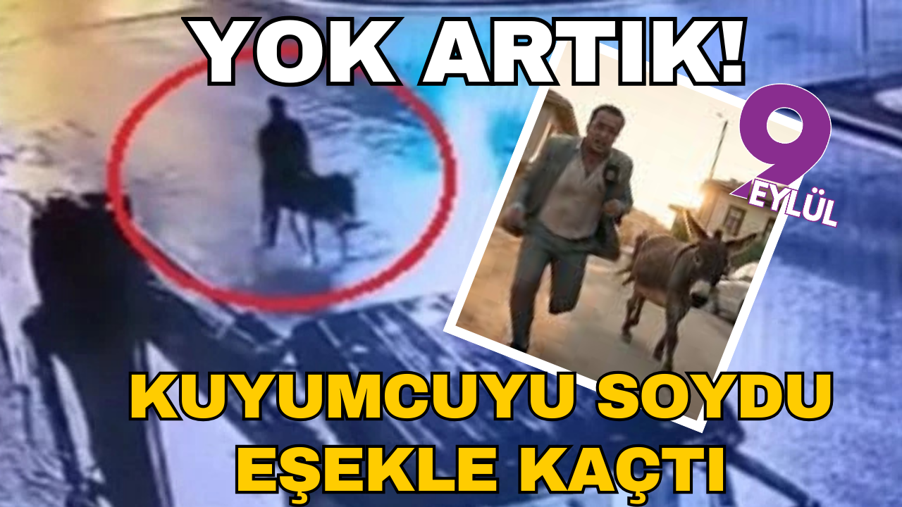 www.dokuzeylul.com