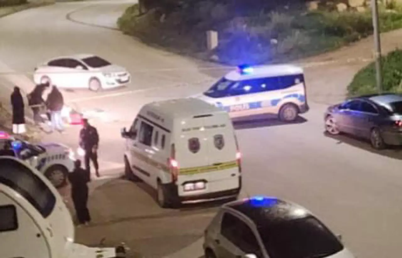 O Di31 1769949395 6924