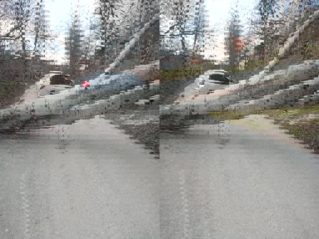 Ordu Da Firtina Cikti Catilar Uctu Agaclar Devrildi