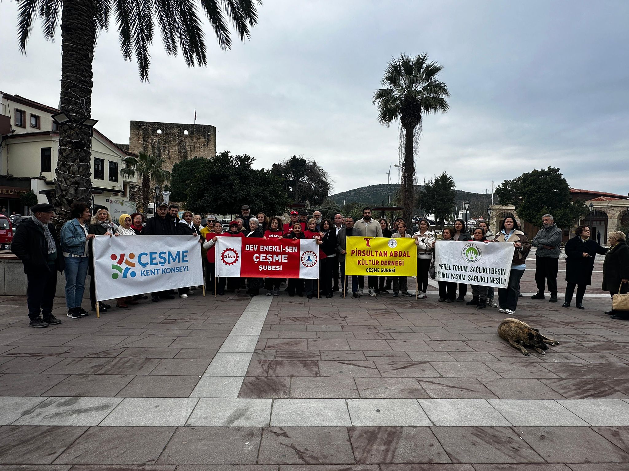 P H O T O 2026 02 11 20 28 11.Jpg