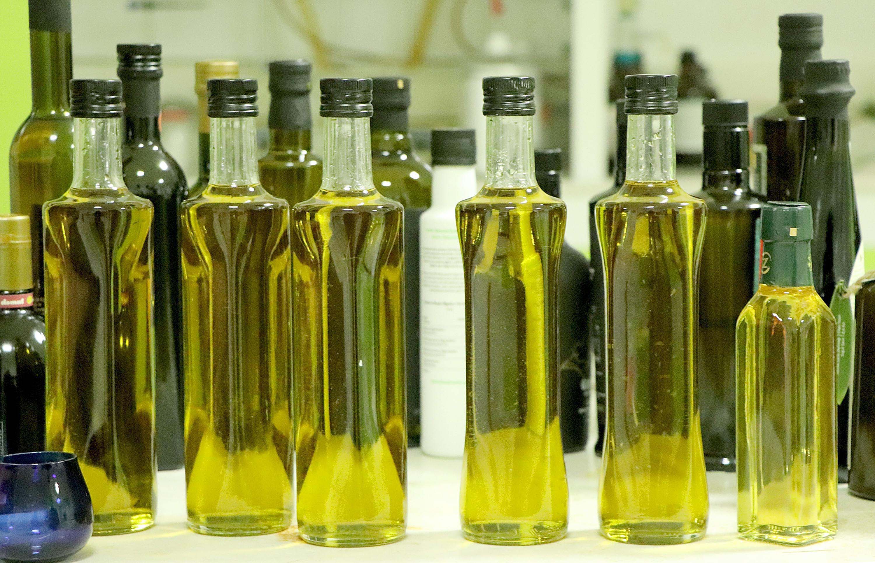 T A K L I T V E T A G S I S E K A R S I A C I K T A V E E T I K E 1170053 347528