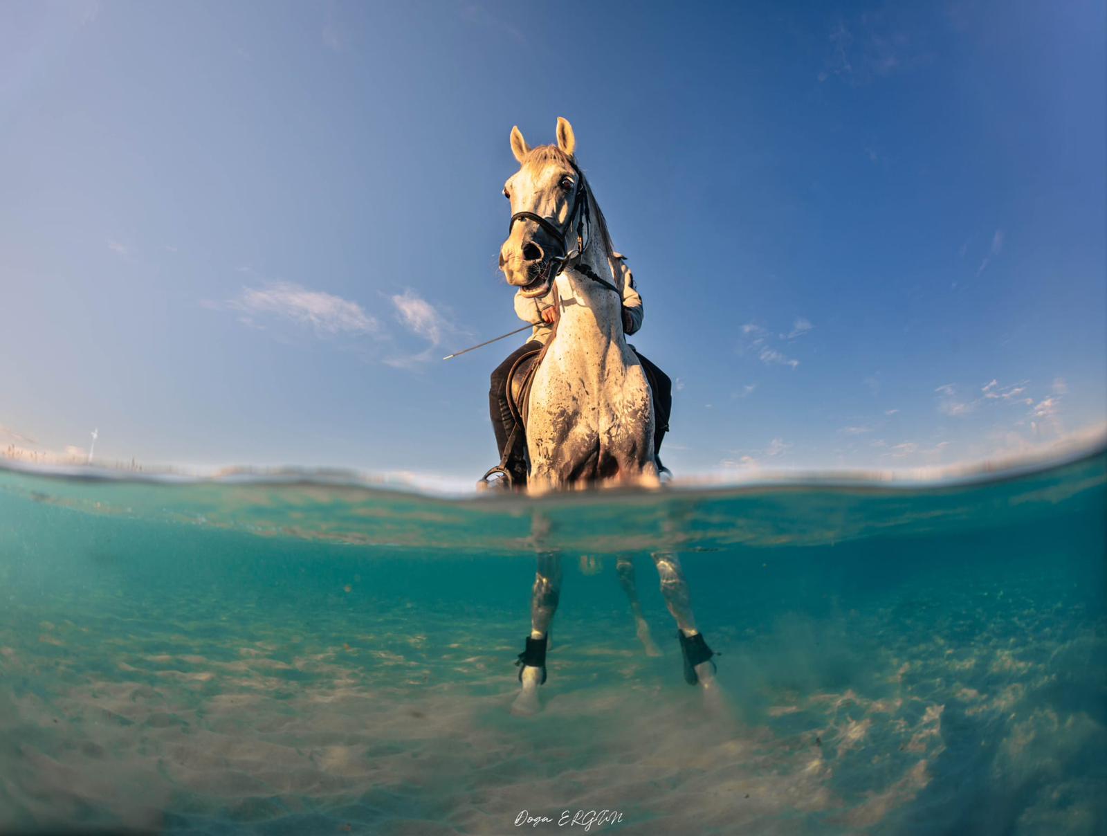 Whats App Image 2026 02 09 At 22.43.22