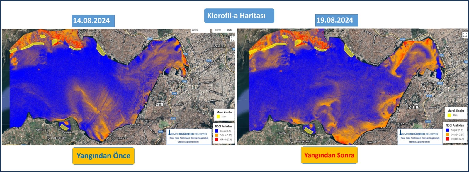 Whatsapp Image 2026 02 02 At 15.25.34 (1)