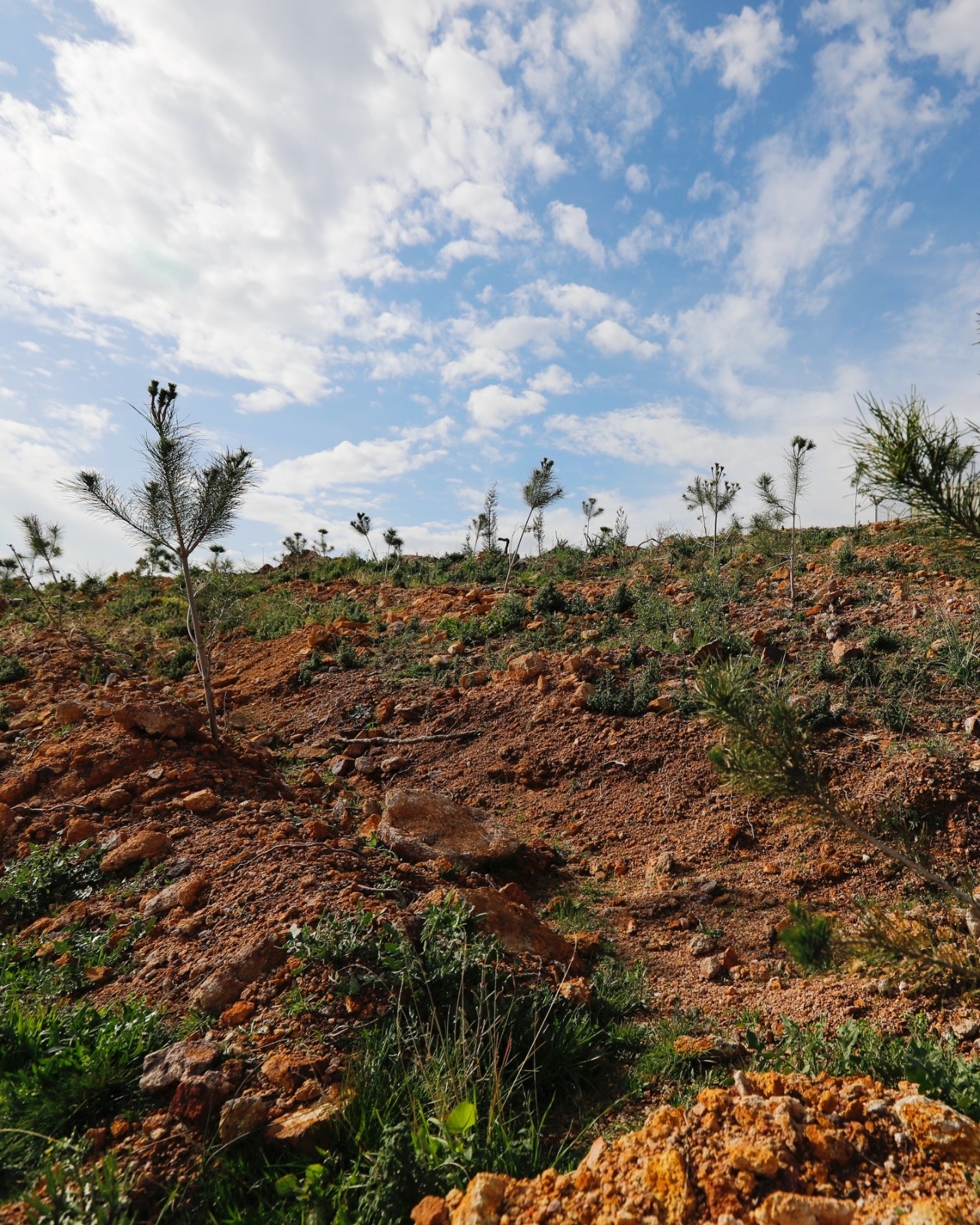 Whatsapp Image 2026 02 10 At 09.17.52