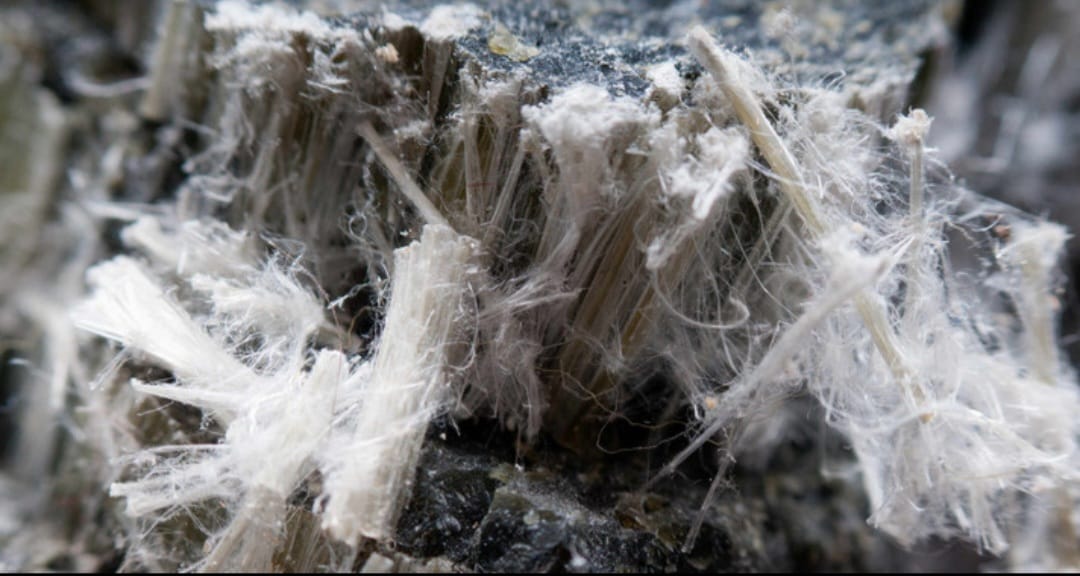 Whatsapp Image 2026 02 11 At 16.16.58 (1)