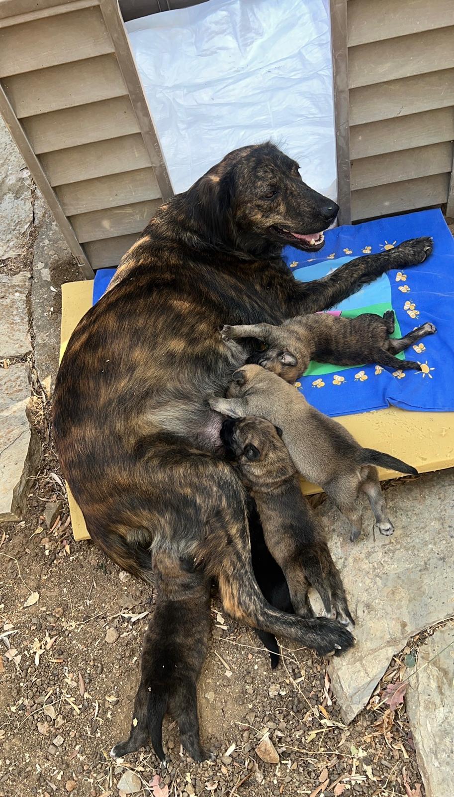 Whatsapp Image 2026 02 18 At 10.23.06 (1)