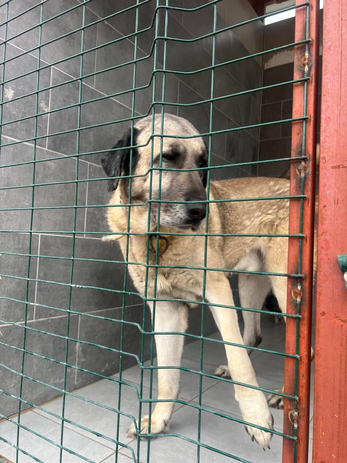 Whatsapp Image 2026 02 25 At 10.13.32