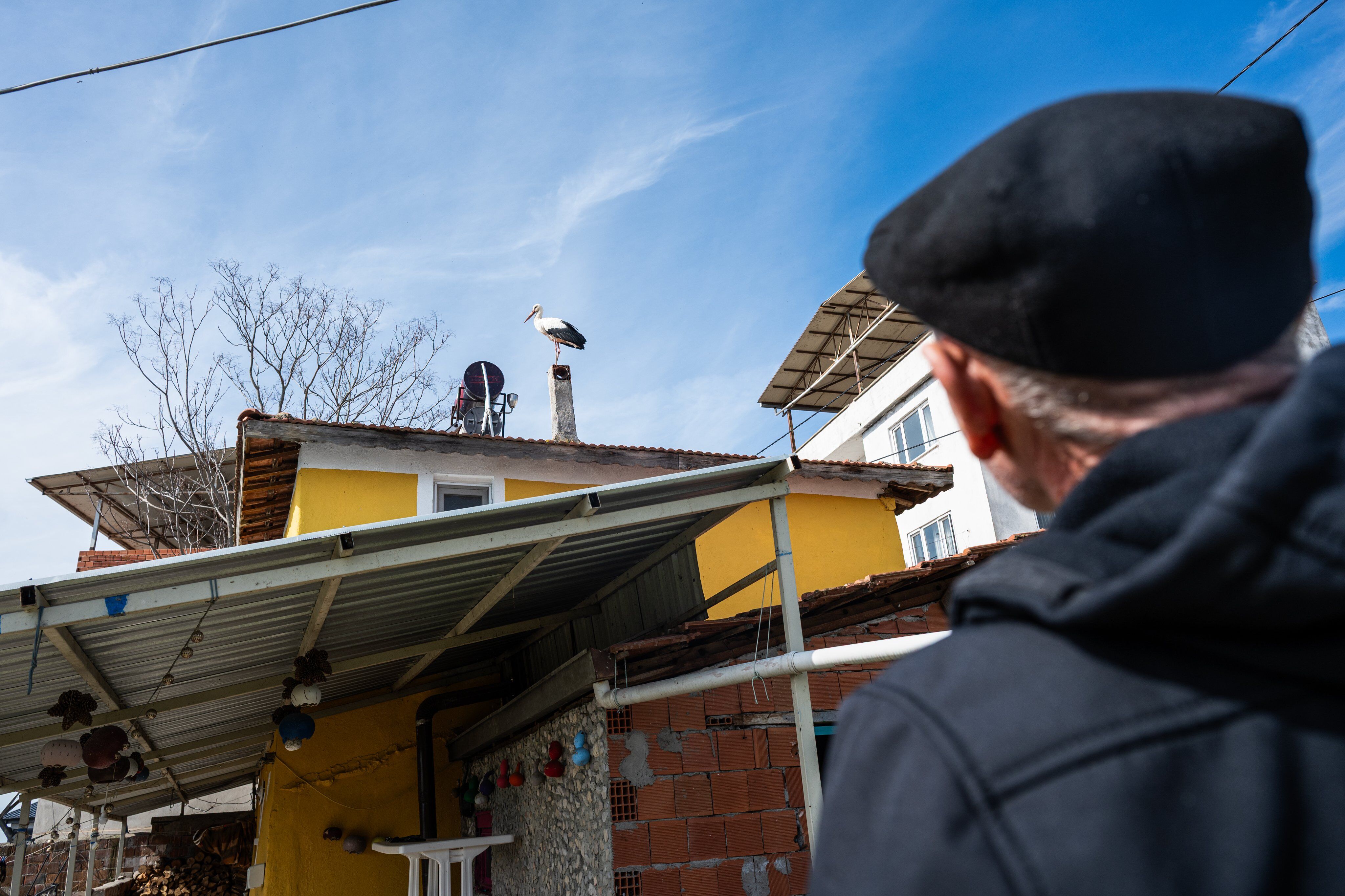 Yaren Leylegin Esi Nazli Geldi 1184021 351720