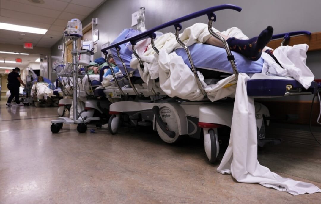 08Cde688 511D 4D0E 8703 D5A481C6Ba61