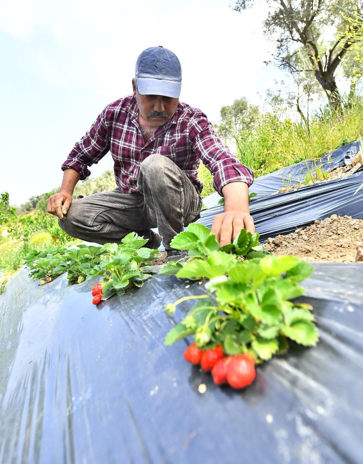 15.03.2026 C7B3D615 7A4B 4Dbb Bb18 9E56967545D2