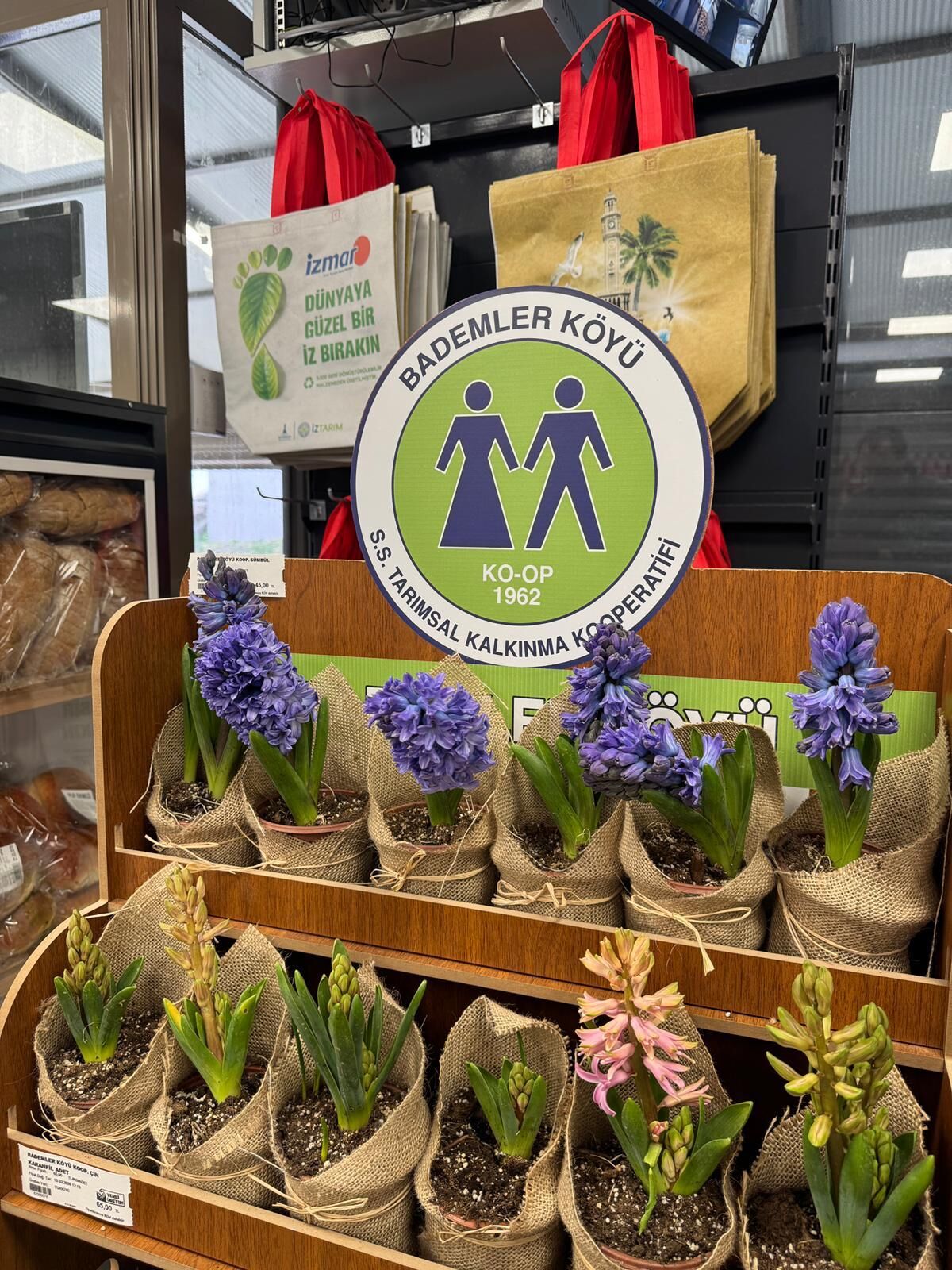 16.03.2026 545022A5 64F8 4631 A00F E8A934C23Ee6