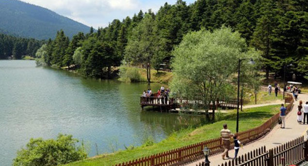 423Ab01Ae6F32E6578C4A613C3A04Cbc