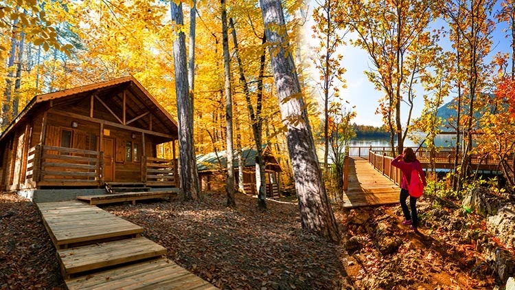 6151A24B4E3Fe117944F6Ad6