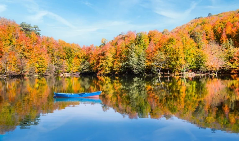 6151Cab94E3Fe117944F6D24