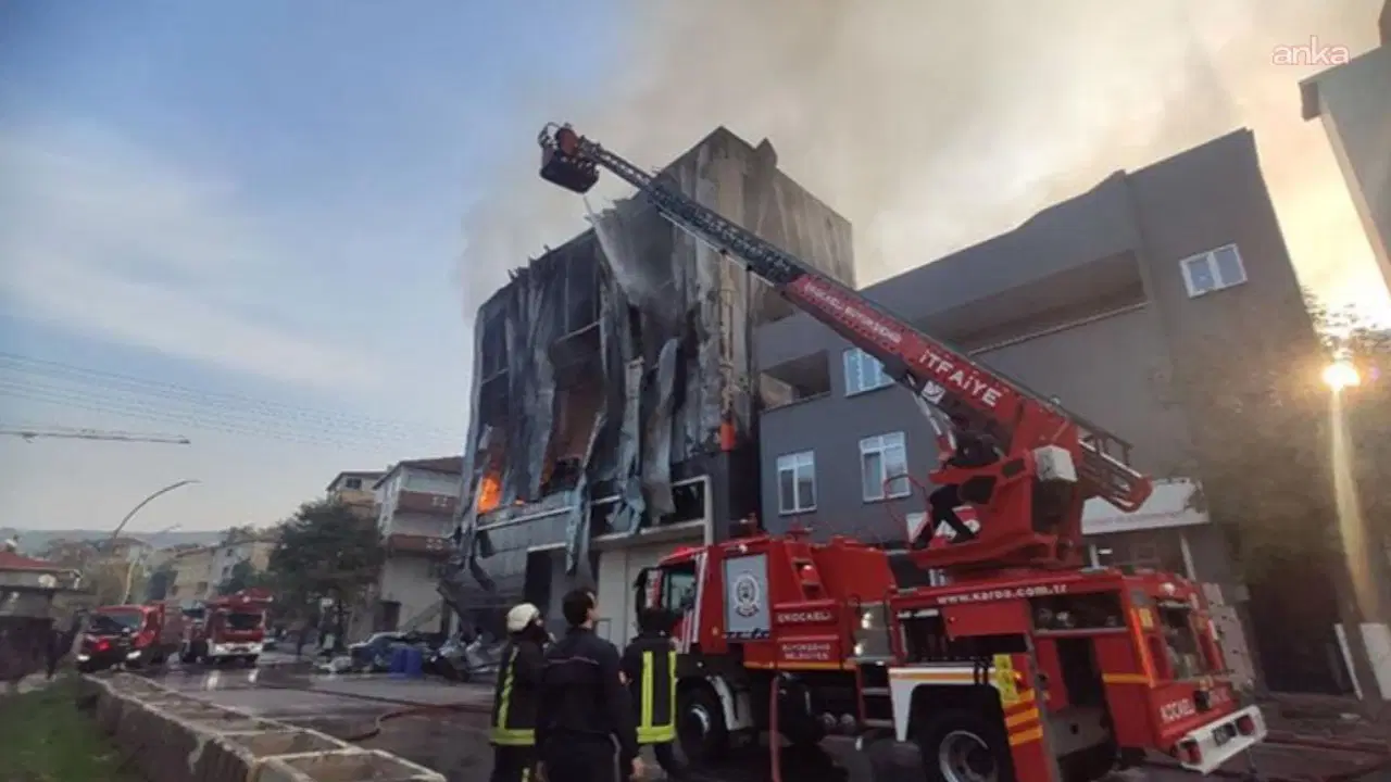 8C67A3Ae Af1C 4185 A37D 4101A4F5A339