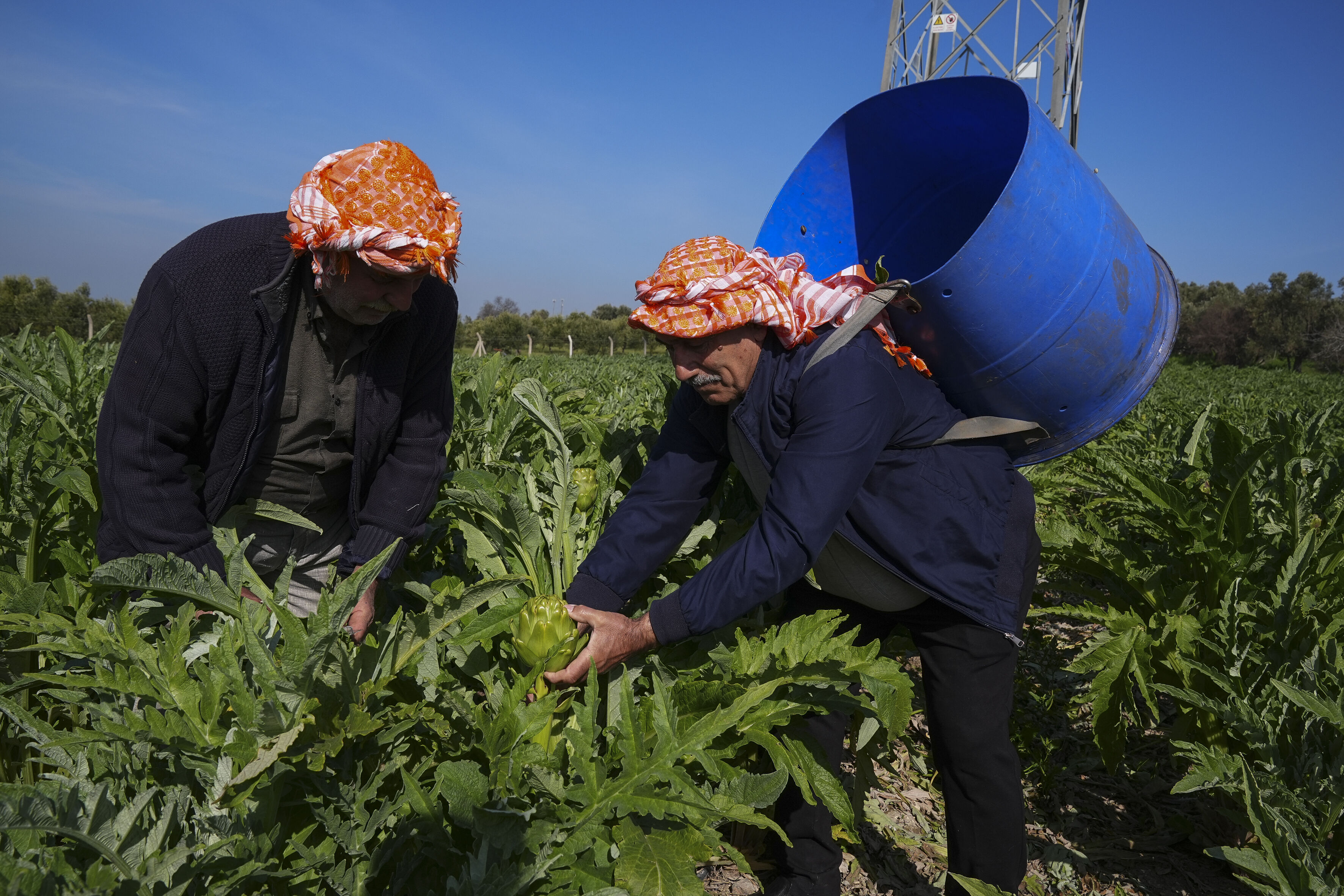 A A 20260314 40819471 40819452 E N G I N A R V E R I M I O C A K V E S U B A T Y A G I S L A R I Y L A A R T T I