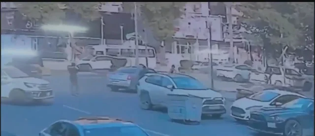 Amerikali Gazeteci Shelly Kitt 0Ec06Ec227 7562 1 M