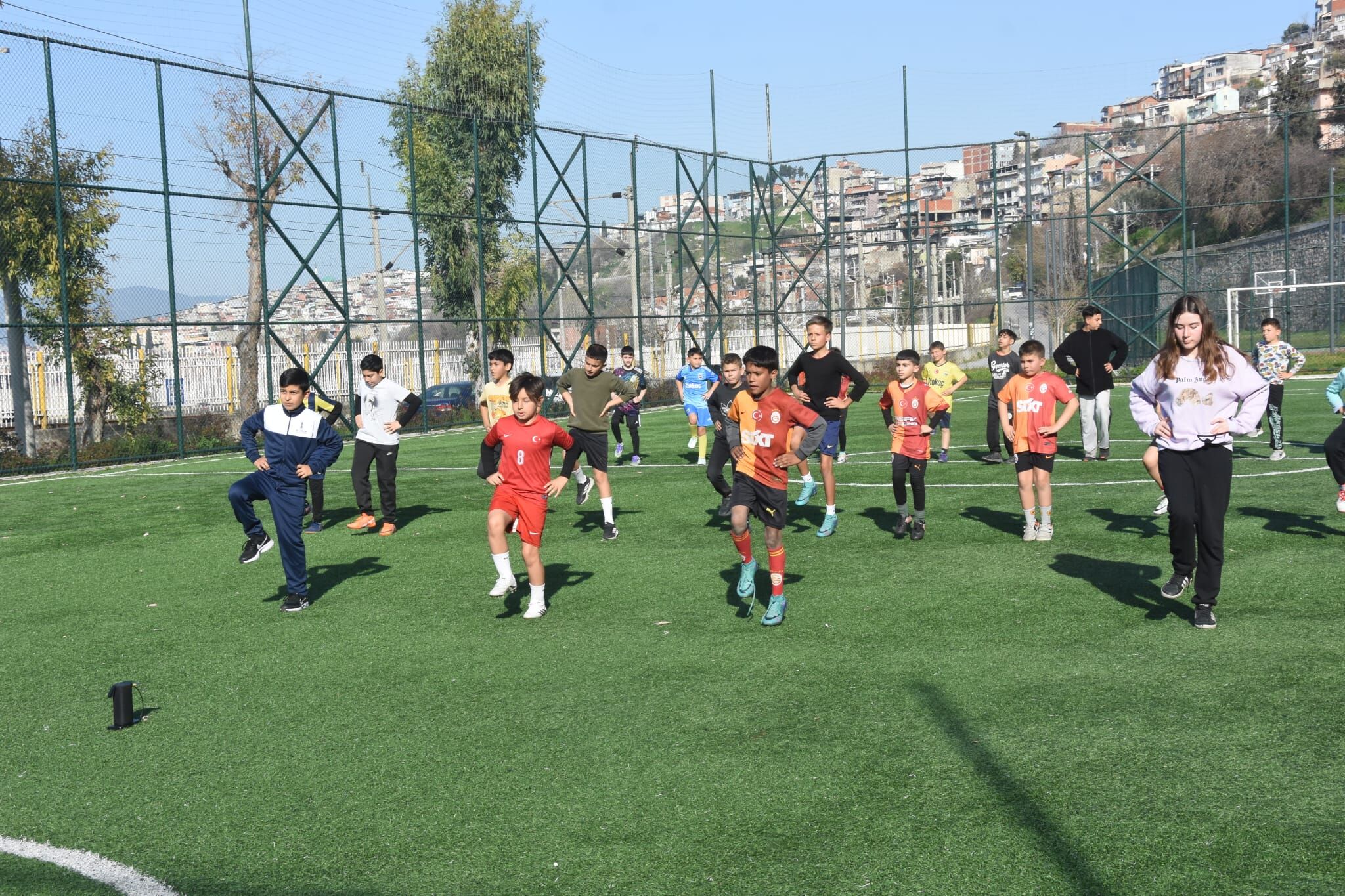 C54544E1 C52D 43B3 Abca Adfe15E0F1Ee