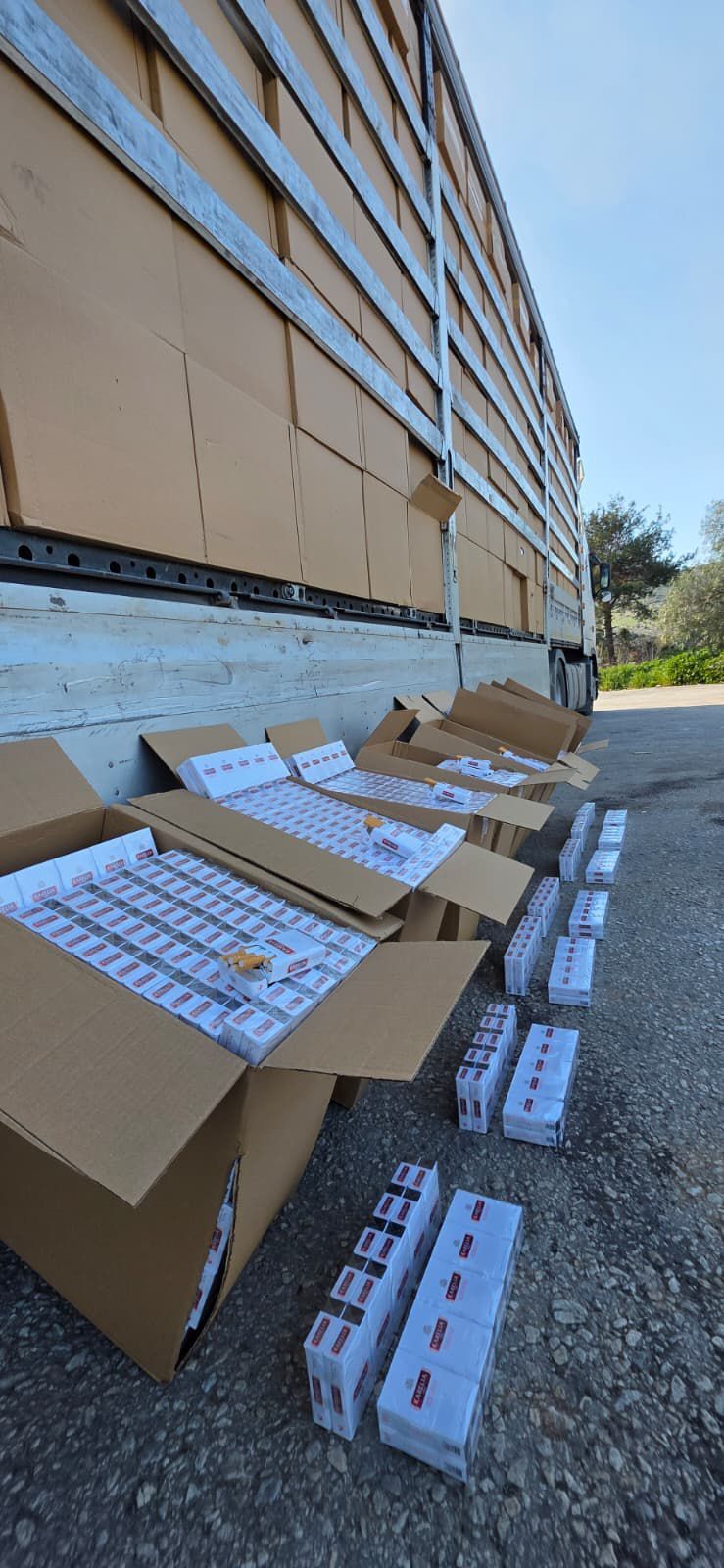 Ce9Fb068 0E92 4Ca3 848A 983C4Ca5D2B4