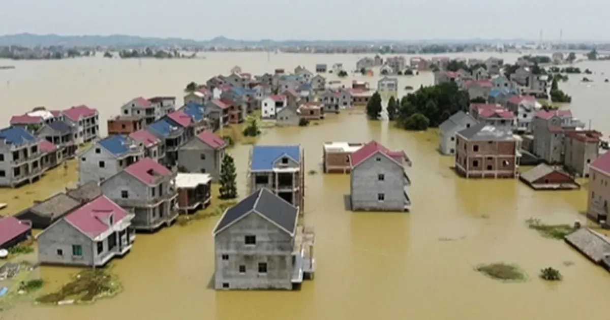 Cin De Sel 10 Olu 29 Kayip 1721639038 378 Large 1723094776