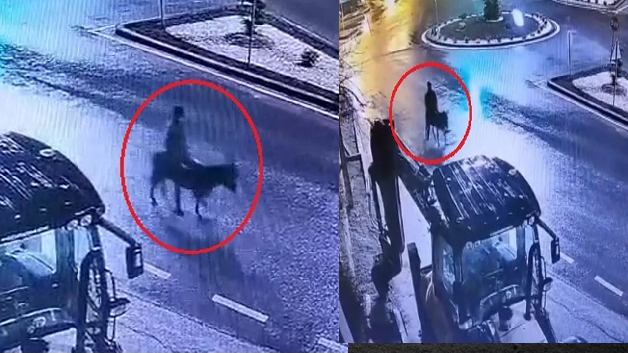 Esek Sirtinda 16 Yila Dogru Gitti Kuyumcu Soygununda Gorulmemis Detaylar 3H0R