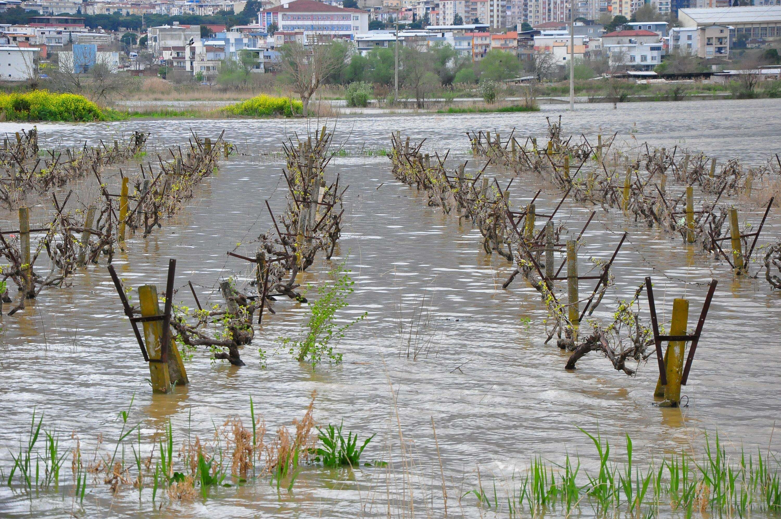 I K I N C I K E Z S U L A R A L T I N D A K A L A N G E D I Z O V A 1237202 367962