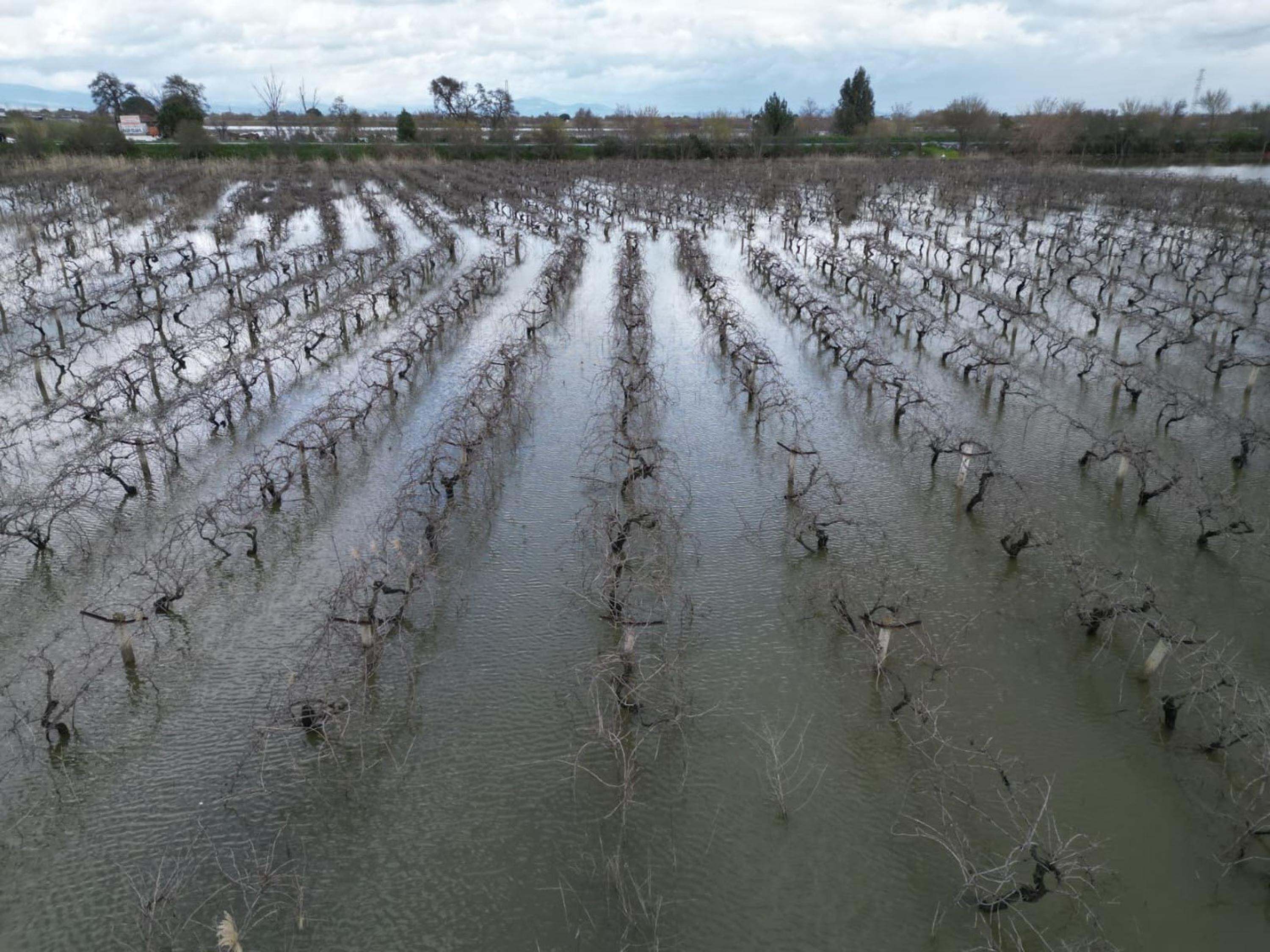 I K I N C I K E Z S U L A R A L T I N D A K A L A N G E D I Z O V A 1237209 367962