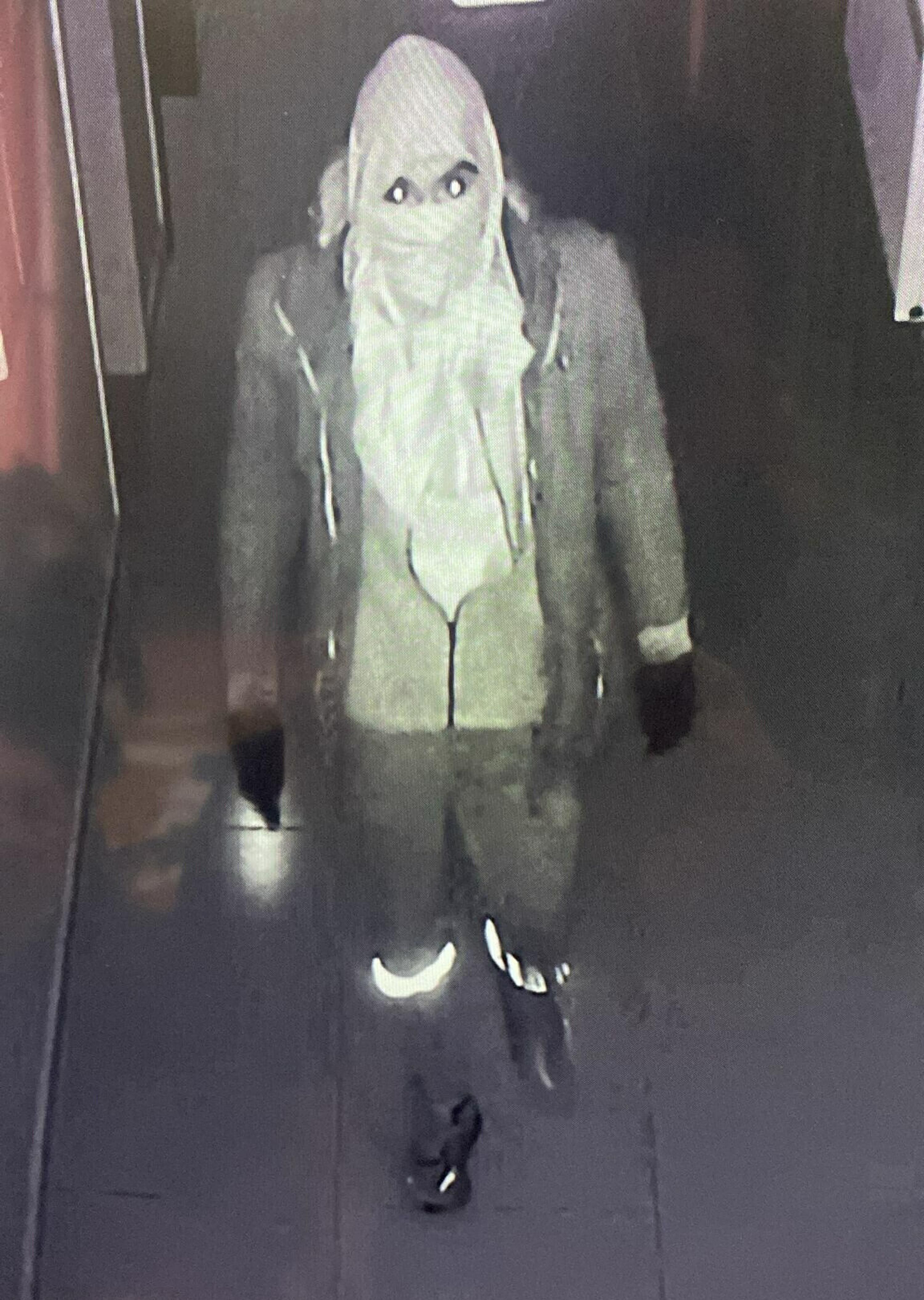 I Z M I R D E I L K O K U L I L E B I L I M V E S A N A T M E R K 1198787 356497