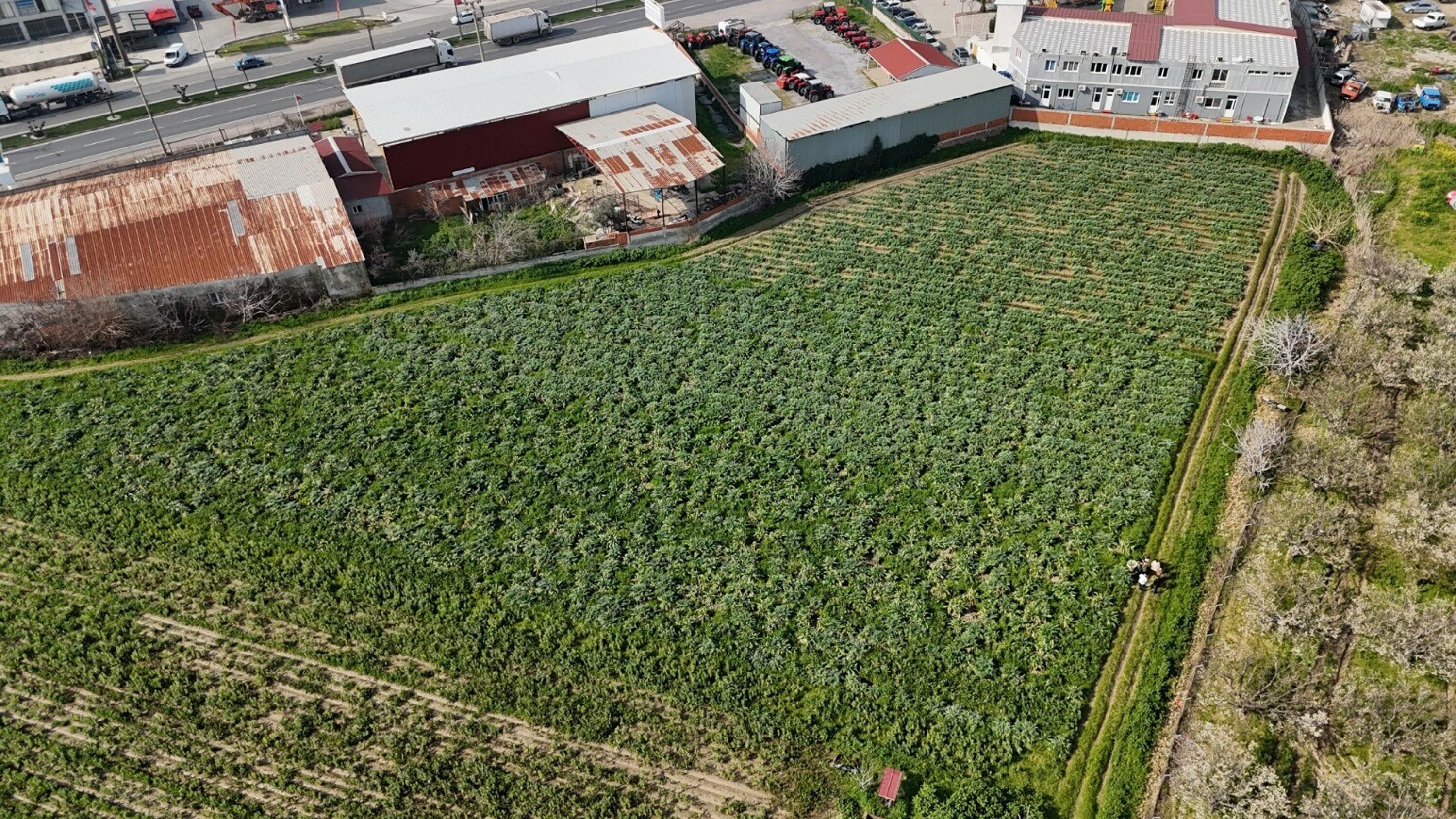 I Z M I R M E N E M E N’ D E E N G I N A R H A S A D I B A S L A D I 1195143 355344