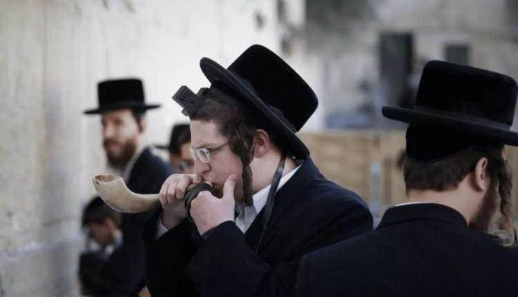 Py1Vb 1773390342 8507 W750 H431 Ffpa