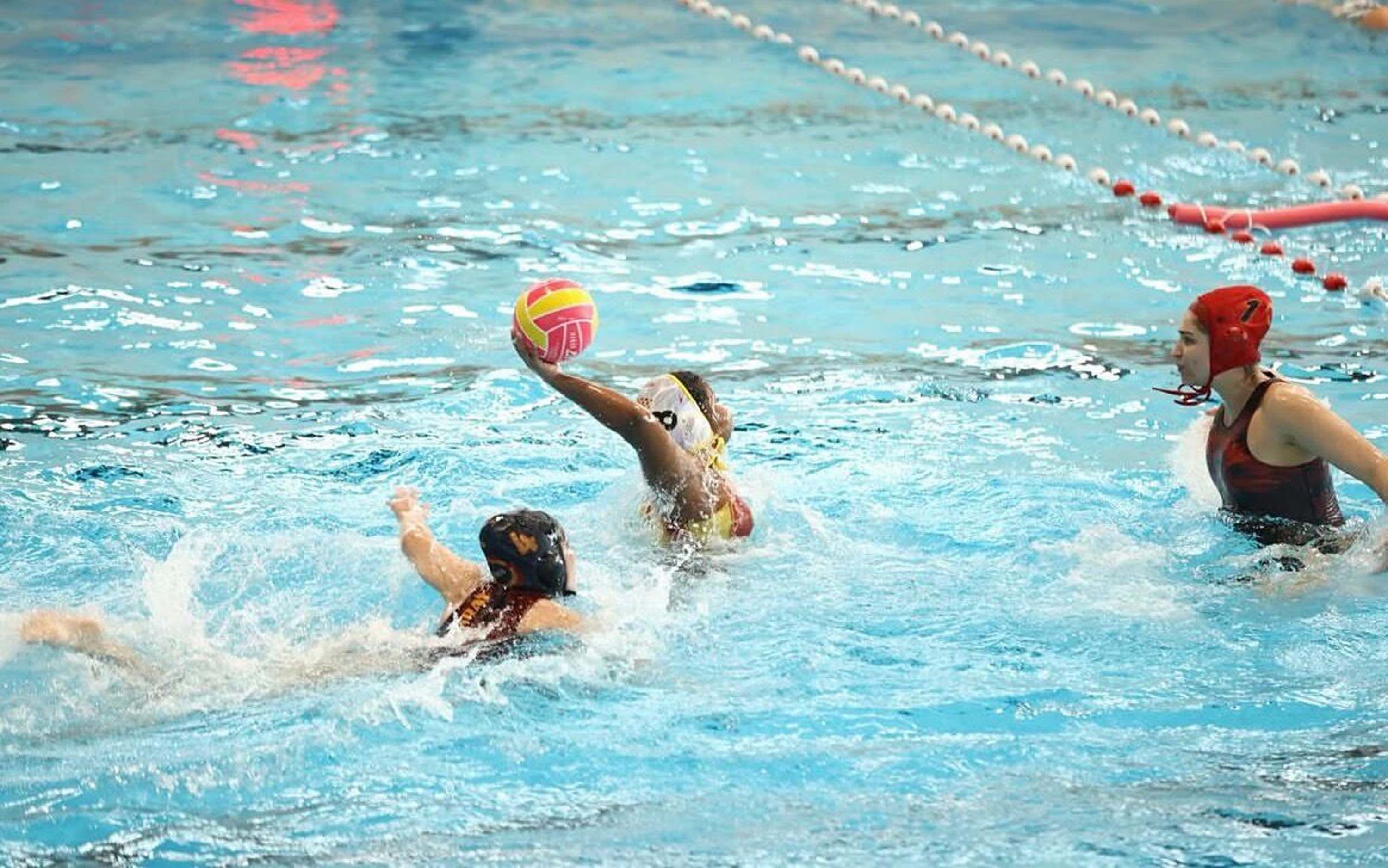 S A M P I Y O N L U G A K U L A C A T T I 1237430 368035