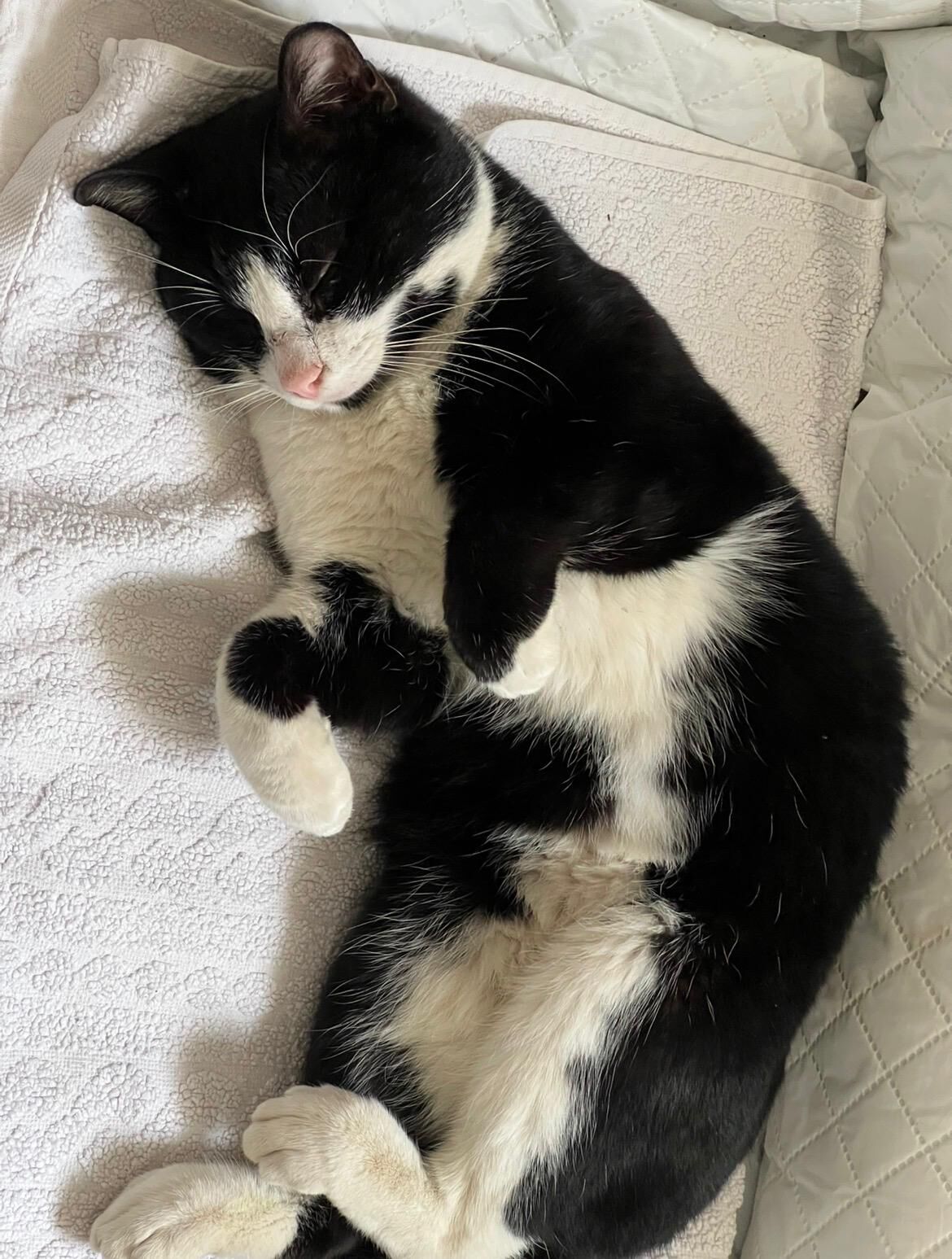 Whatsapp Image 2026 03 04 At 09.18.44 (1)