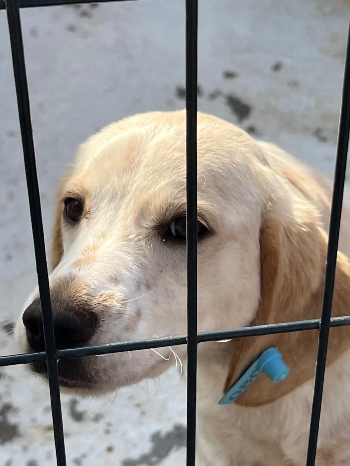 Whatsapp Image 2026 03 04 At 09.18.44