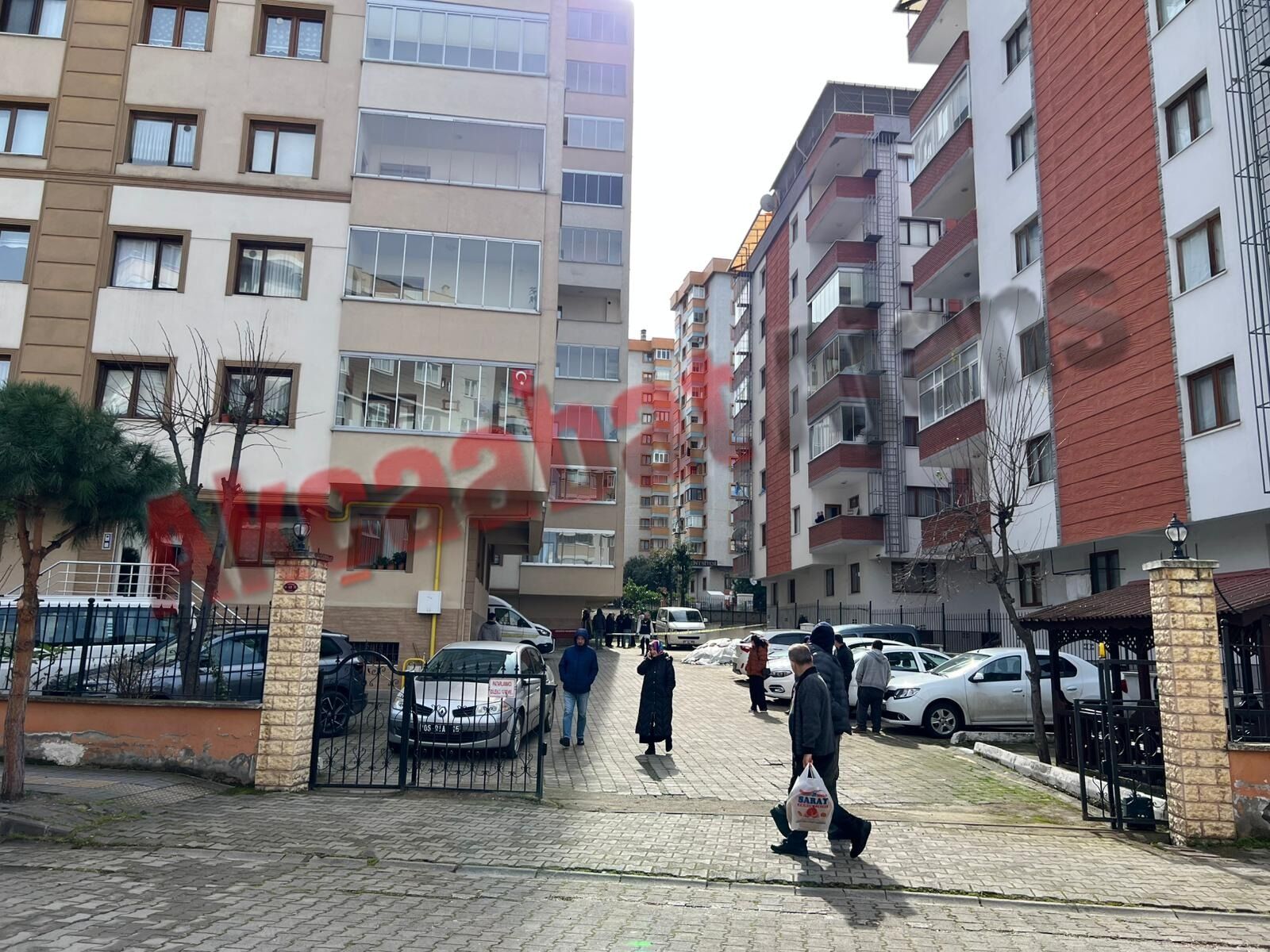 Whatsapp Image 2026 03 05 At 14 15 01