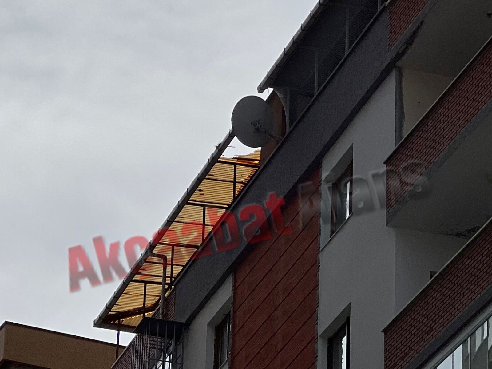 Whatsapp Image 2026 03 05 At 14 15 28 001