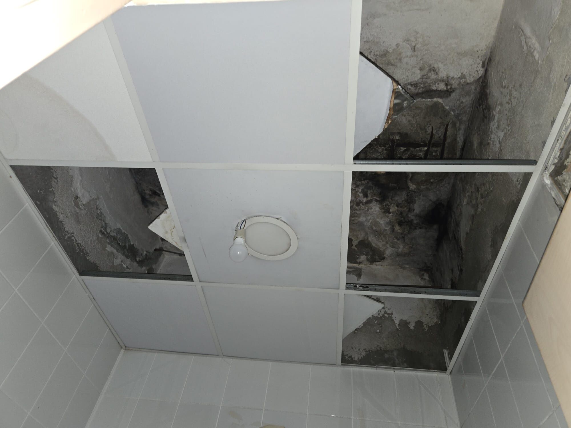 Whatsapp Image 2026 03 11 At 15.58.24 (1)