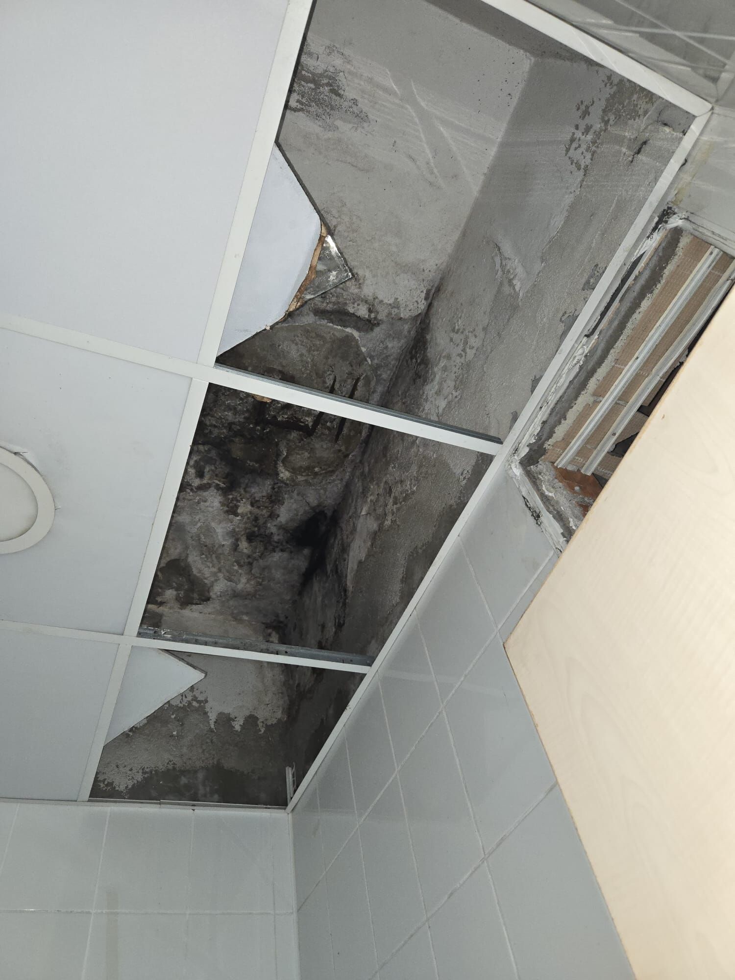 Whatsapp Image 2026 03 11 At 15.58.24 (2)