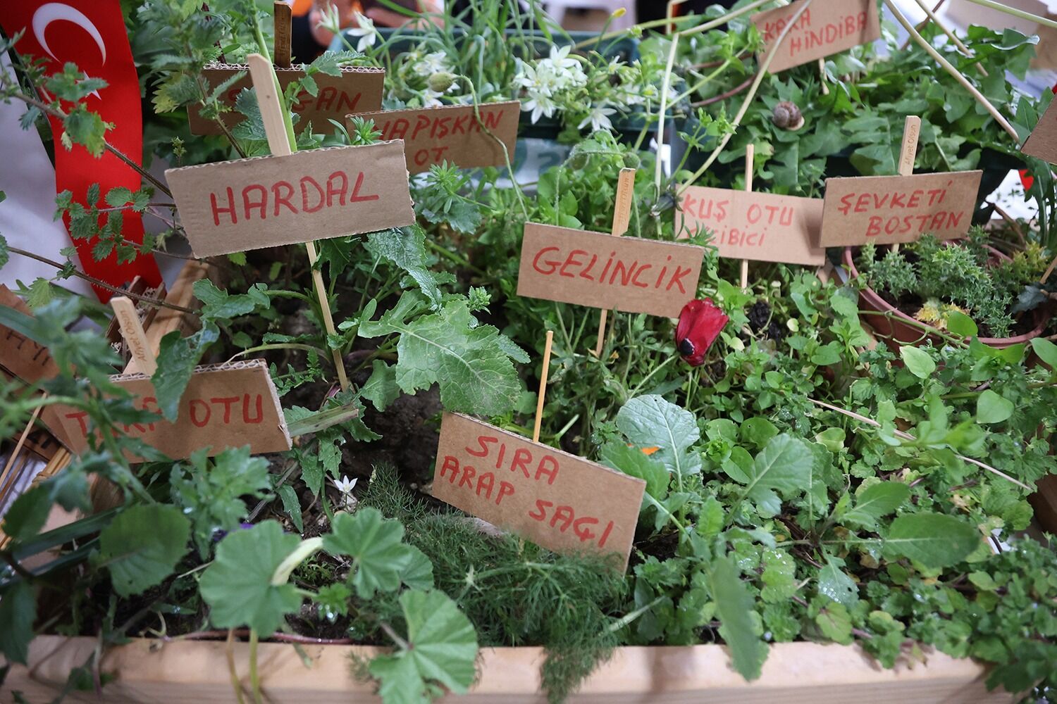 Whatsapp Image 2026 03 28 At 18.02.53 (1)